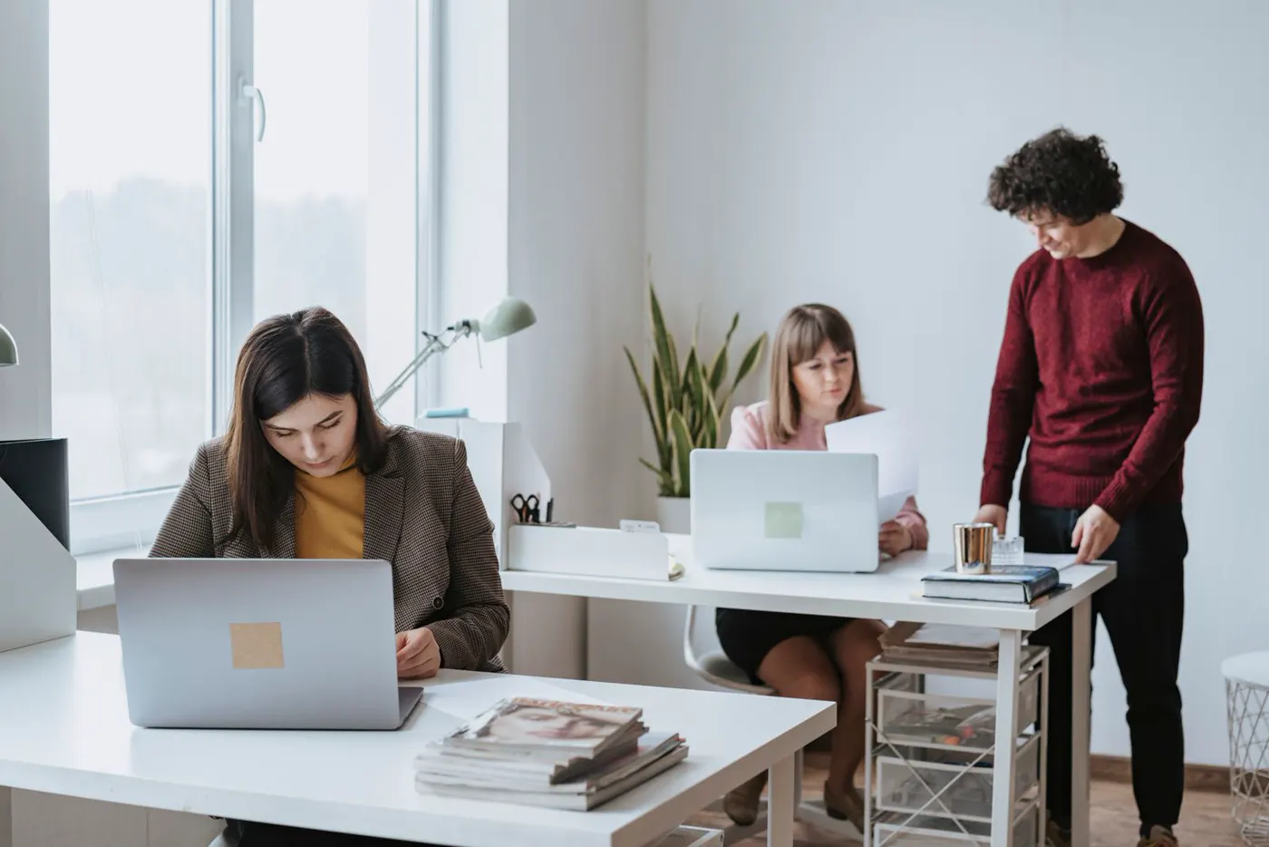 People working with laptops in a normal, light-filled office